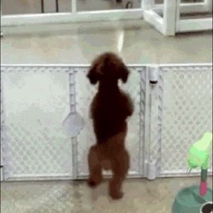 Meet your Posher, Barbara